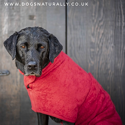 Dog Drying Coat - Red
